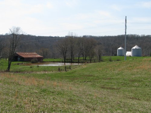 Property photo 17 - 137 Acres in 2 Tracts - 64 Tillable Acres, Potential Building Sites, Hunting